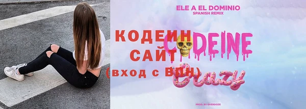 ГАЛЛЮЦИНОГЕННЫЕ ГРИБЫ Верея