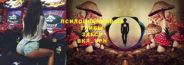 героин Бородино